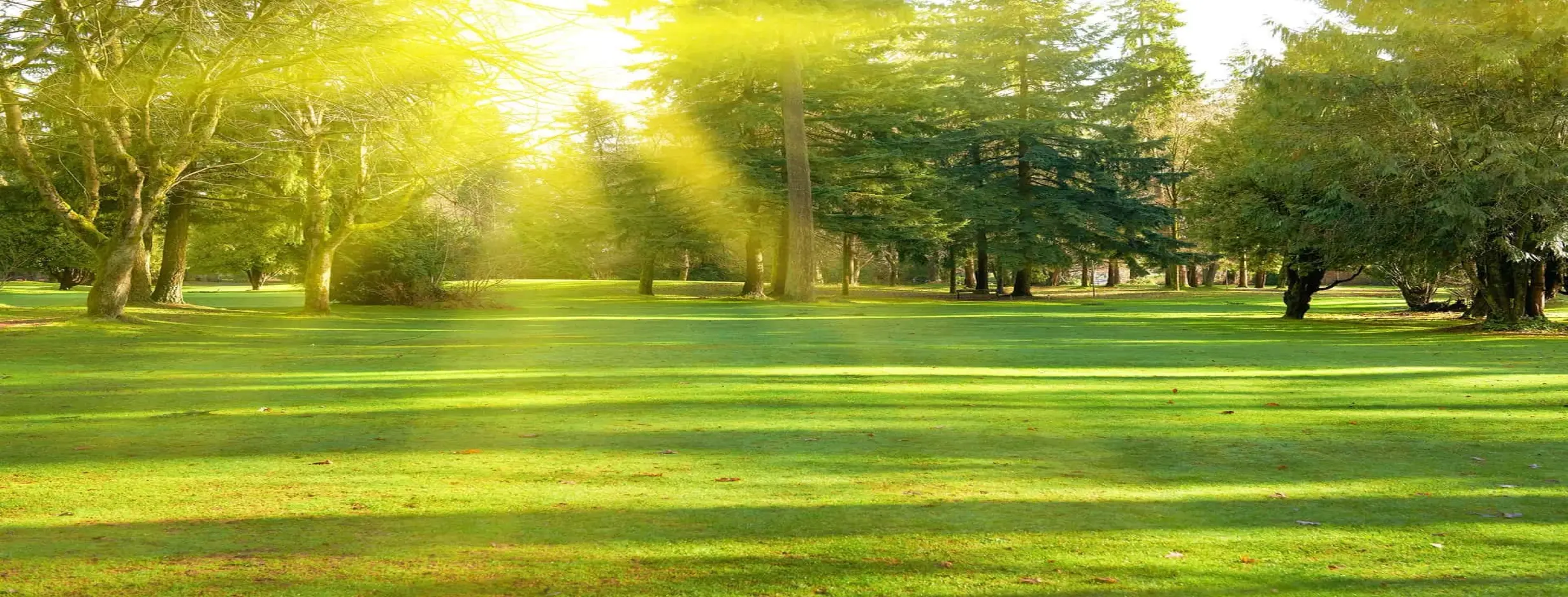 Image for Parks and Green Spaces